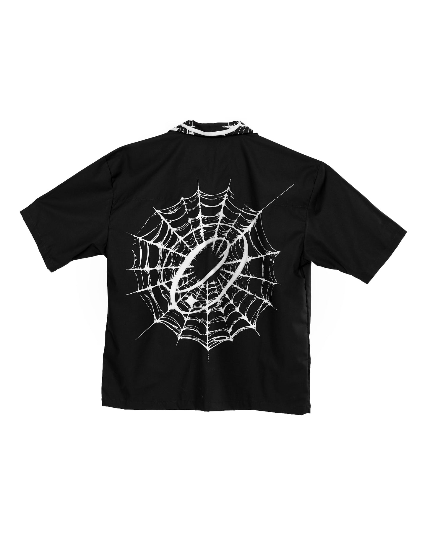 BLACK SPIDER WEB🕷️ 🕸️